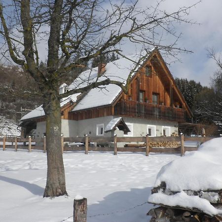 Ferienhaus "Zur Alten Schmiede" Mariahof Dış mekan fotoğraf