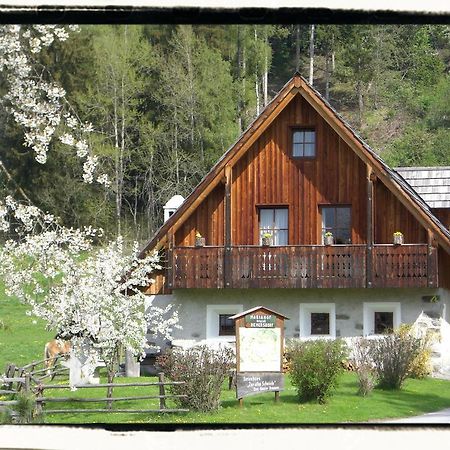 Ferienhaus "Zur Alten Schmiede" Mariahof Dış mekan fotoğraf