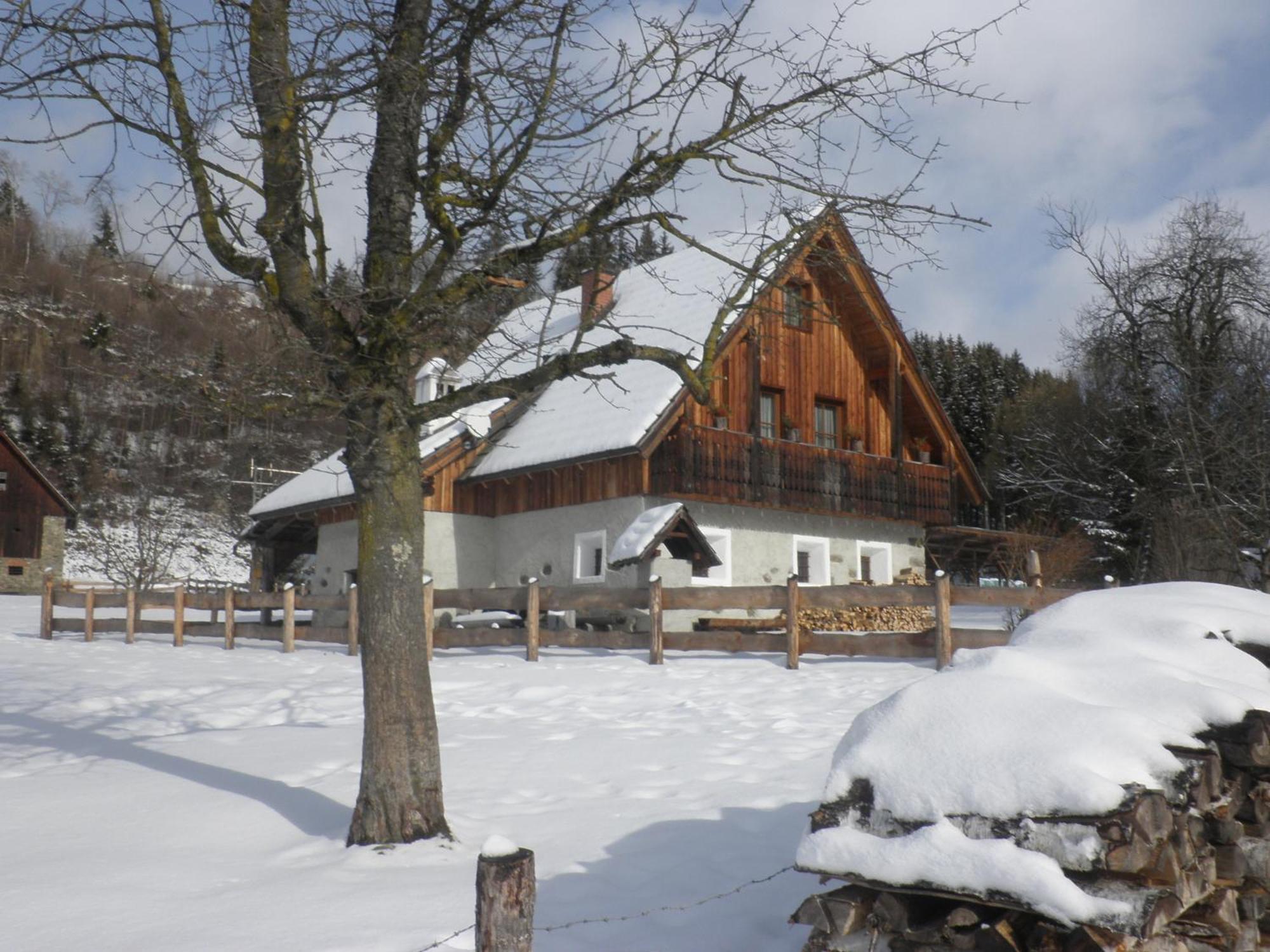 Ferienhaus "Zur Alten Schmiede" Mariahof Dış mekan fotoğraf