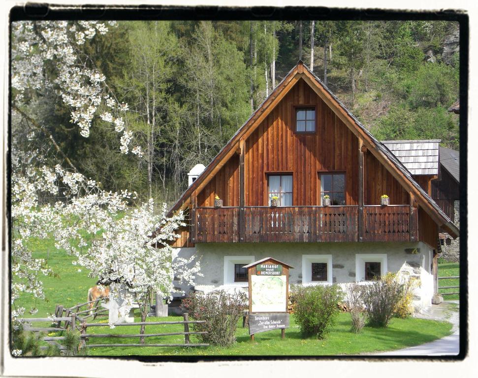 Ferienhaus "Zur Alten Schmiede" Mariahof Dış mekan fotoğraf