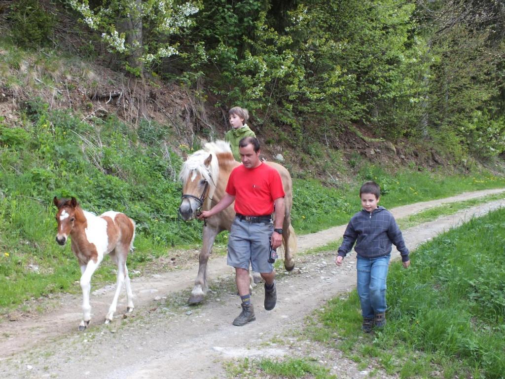 Ferienhaus "Zur Alten Schmiede" Mariahof Dış mekan fotoğraf