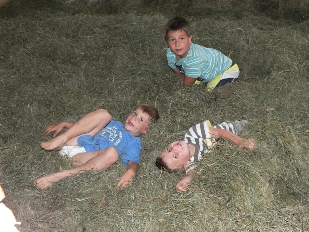 Ferienhaus "Zur Alten Schmiede" Mariahof Dış mekan fotoğraf